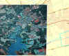 elkton1.jpg (501028 bytes)