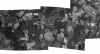 stitch1-3.jpg (72159 bytes)